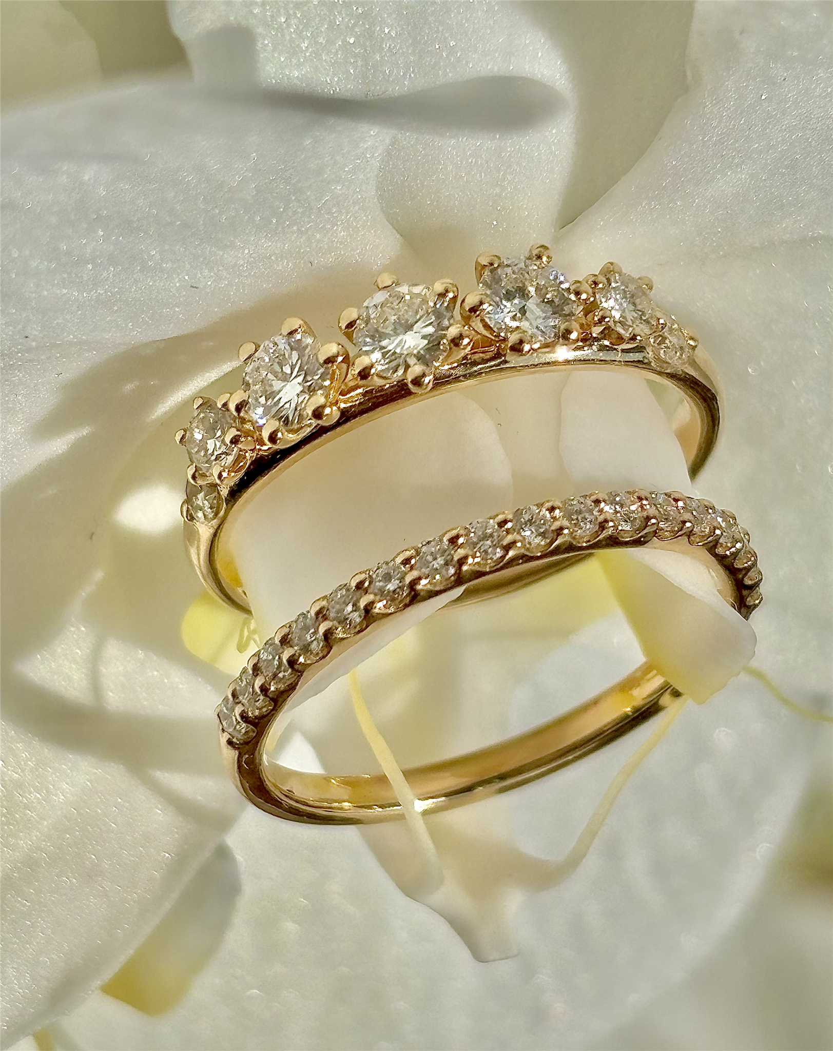 Aysen ring + allainsring .png
