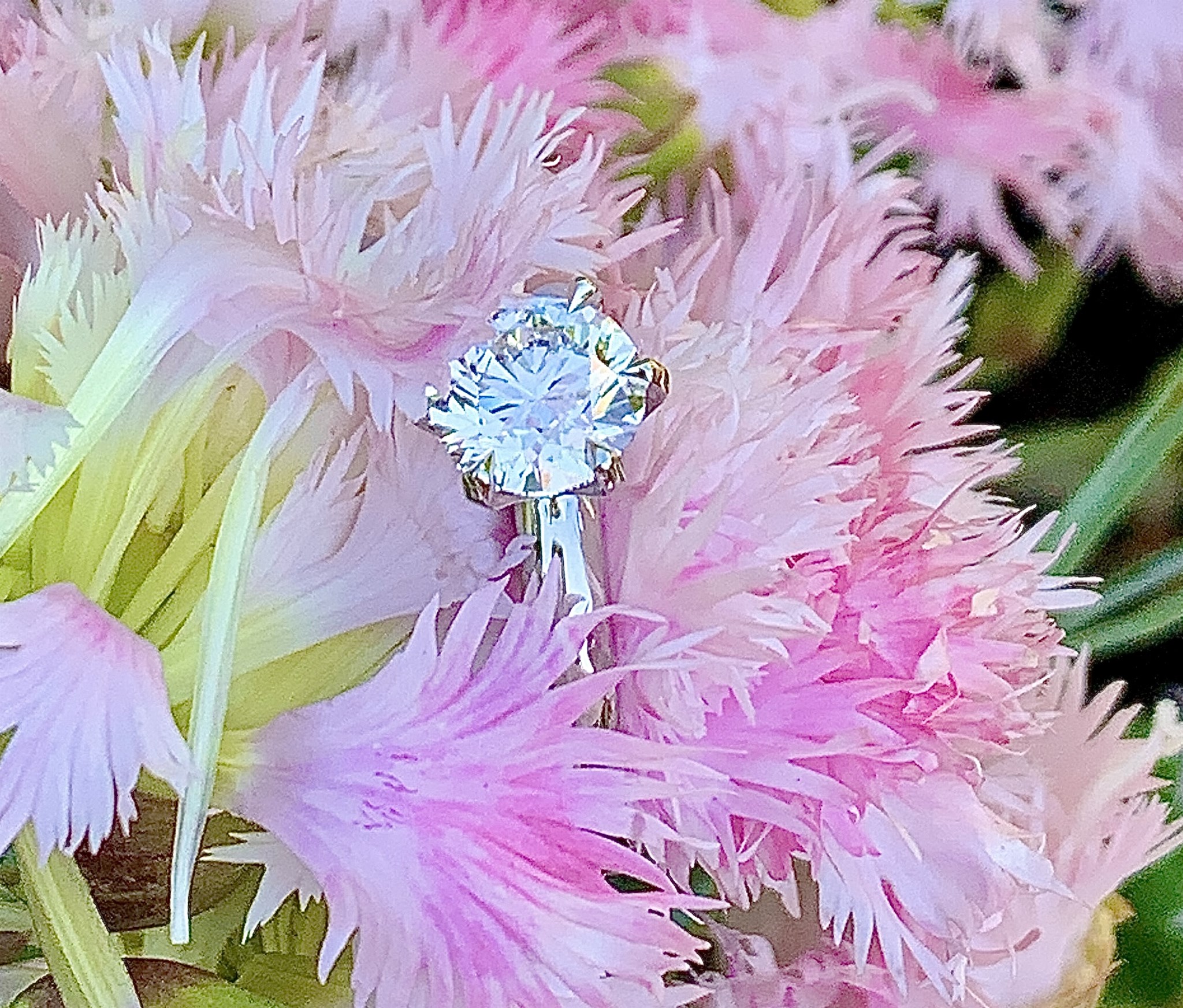 Yvonnes ring i rosa blomma.jpg